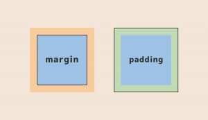 【簡単】marginとpaddingの違いと書き方を解説【覚え方は簡単です】